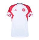 Camisa Dinamarca II 23/24 Torcedor Masculina - Branco