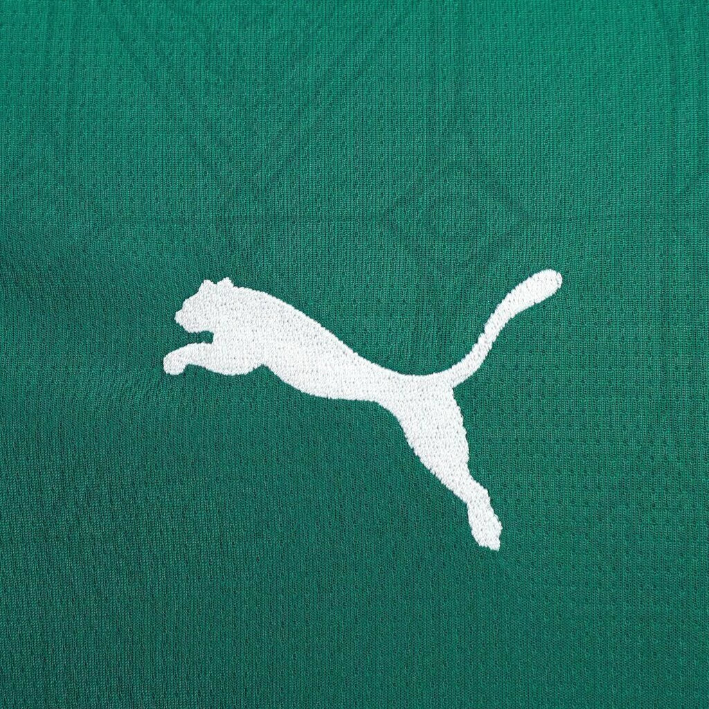 Camisa Palmeiras I 25/26 - Torcedor Puma Masculina - Verde