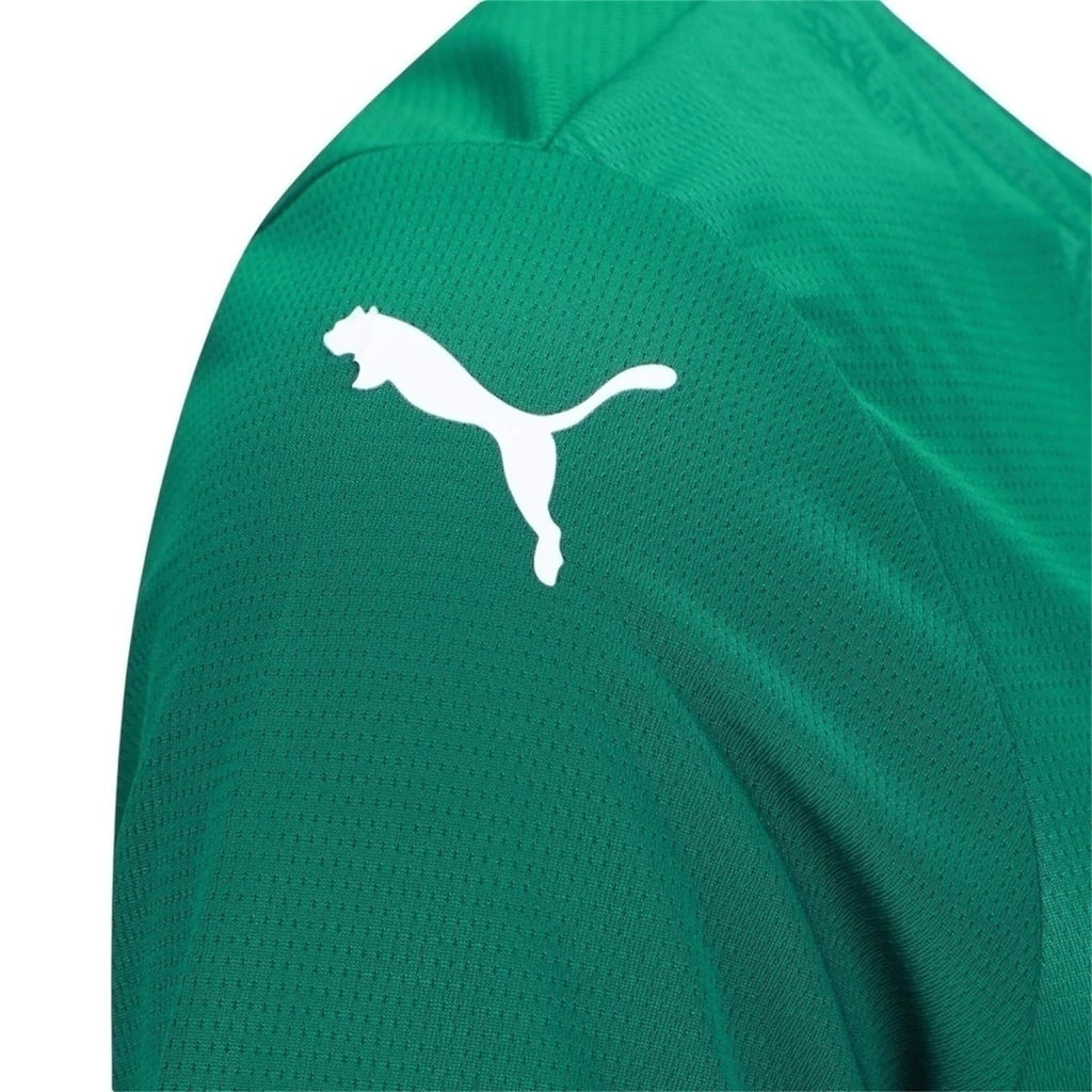Camisa Palmeiras I 25/26 - Torcedor Puma Feminina - Verde